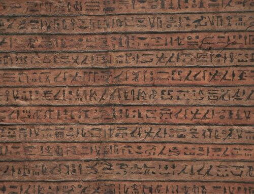 Tekstschrijver gezocht? Ik schrijf teksten rondom persoonlijke ontwikkeling, coaching én regeneratieve landbouw