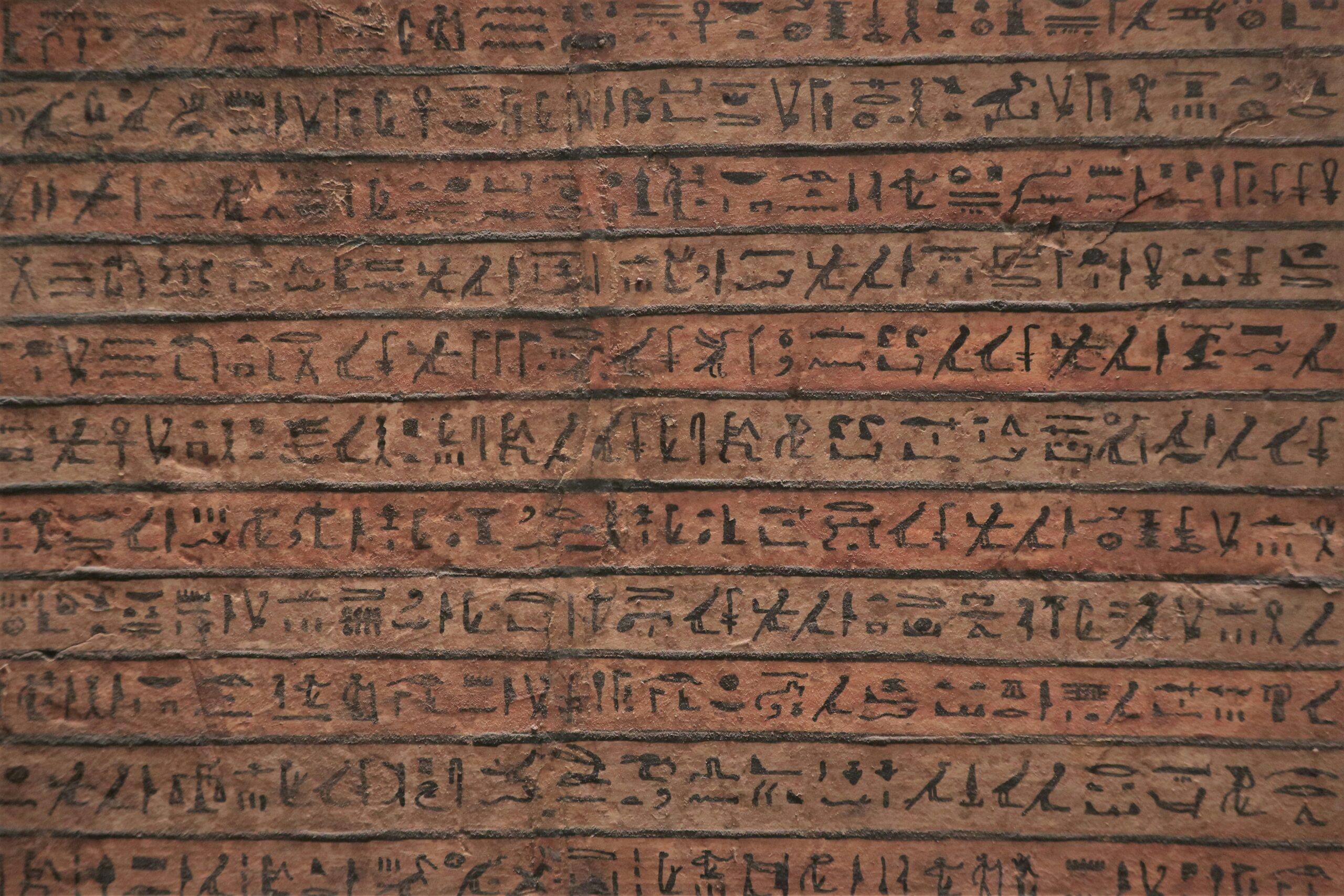 Tekstschrijver gezocht? Ik schrijf teksten rondom persoonlijke ontwikkeling, coaching én regeneratieve landbouw