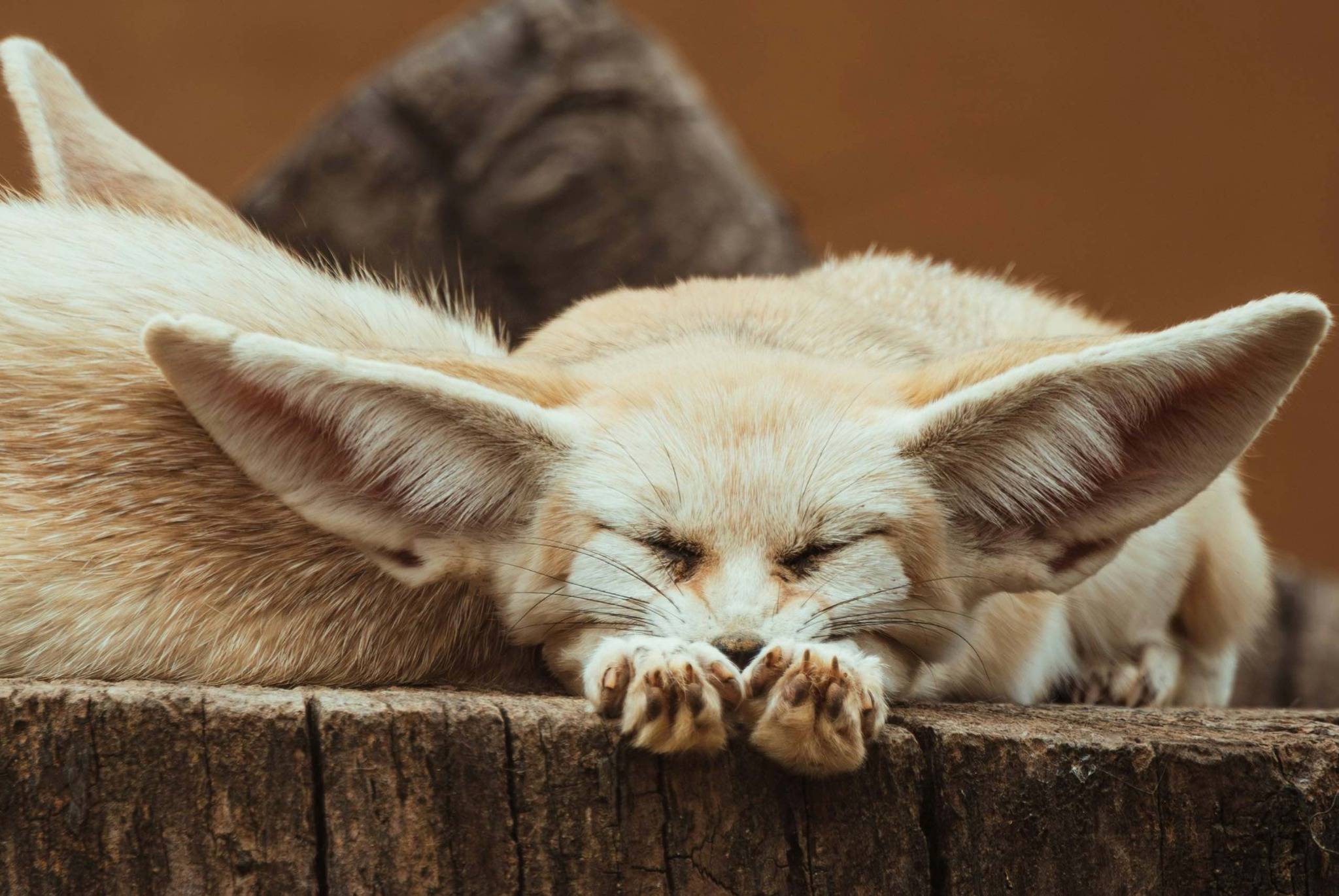 Rust in je hoofd? Probeer deze 4 oefeningen
